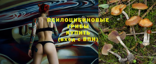прущий лед Горнозаводск