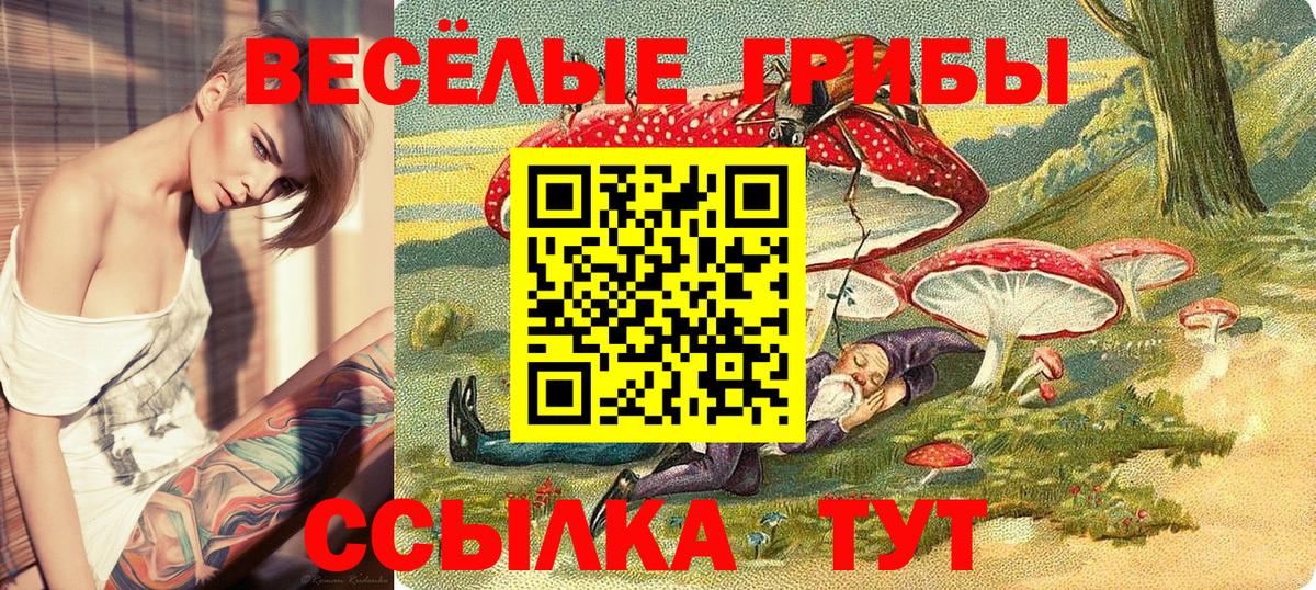 Псилоцибиновые грибы GOLDEN TEACHER  Вход с VPN  продажа наркотиков  Донецк 